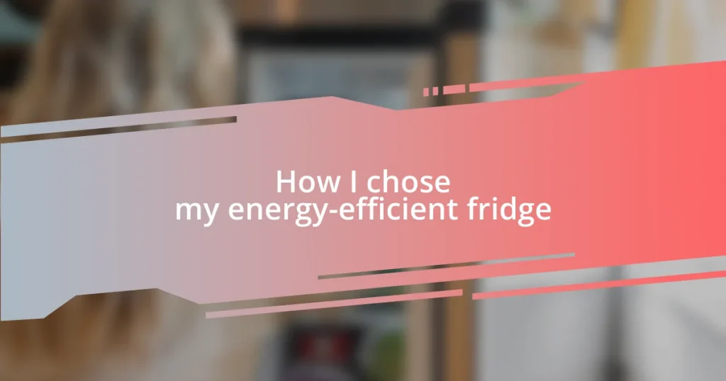 How I chose my energy-efficient fridge